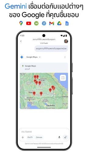 Google Gemini screenshot