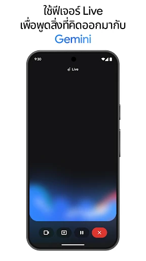 Google Gemini screenshot