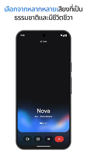 Google Gemini screenshot