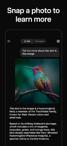 Grok screenshot