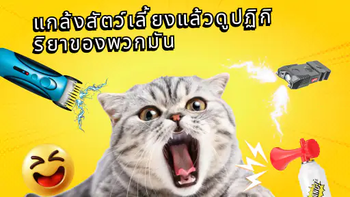 Haha Prank เสียงแกล้งคน screenshot