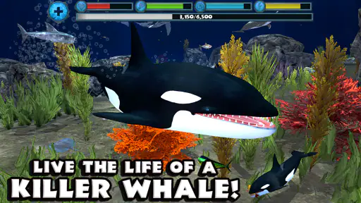 Orca Simulator screenshot