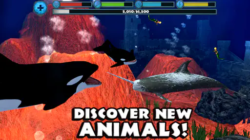 Orca Simulator screenshot