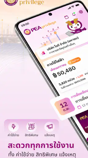 PEA Privilege screenshot