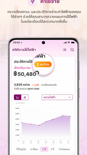 PEA Privilege screenshot