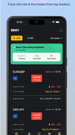 Sig-Zy: Binary Signals screenshot
