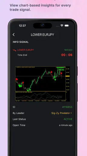 Sig-Zy: Binary Signals screenshot