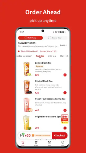 SNOWTEE screenshot
