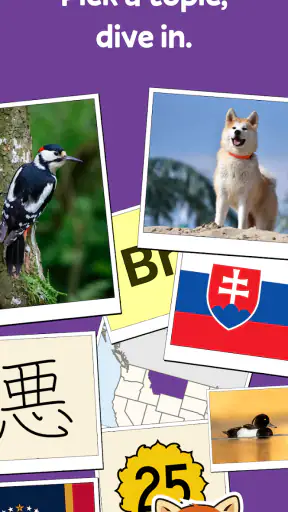 Squiz - Learn with Quizzes screenshot