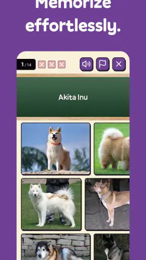 Squiz - Learn with Quizzes screenshot