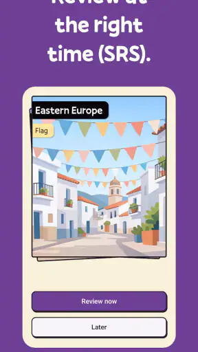 Squiz - Learn with Quizzes screenshot