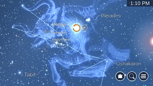 Star Chart screenshot
