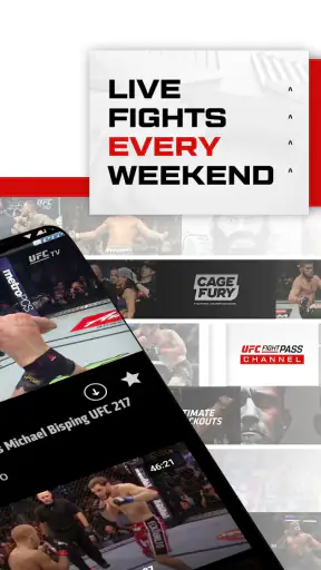 UFC screenshot