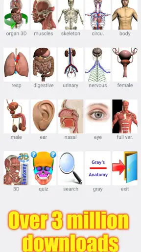 Visual Anatomy Lite screenshot
