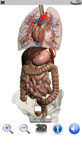 Visual Anatomy Lite screenshot