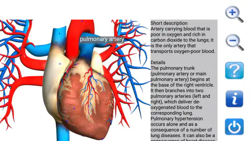 Visual Anatomy Lite screenshot