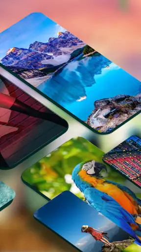Wallpaper 4K: Cool Backgrounds screenshot