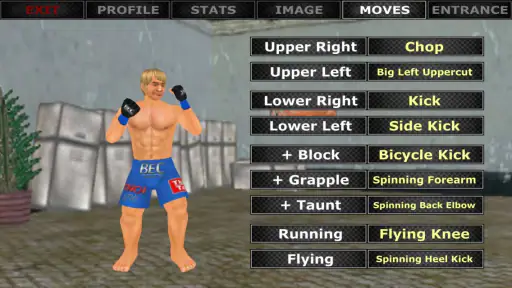 Weekend Warriors MMA screenshot