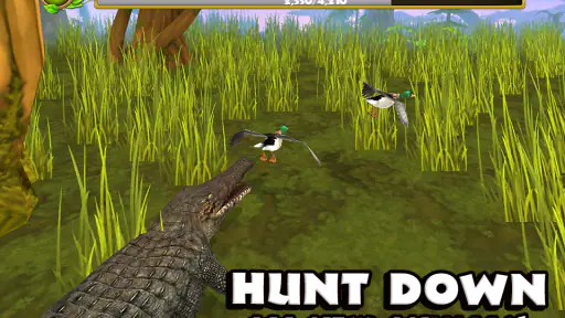 Wildlife Simulator: Crocodile screenshot