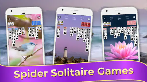 เกมสไปเดอร์โซลิแทร์คลาสสิก screenshot