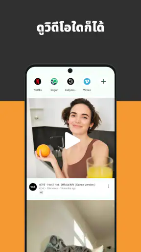 เบราว์เซอร์วิดีโอ screenshot